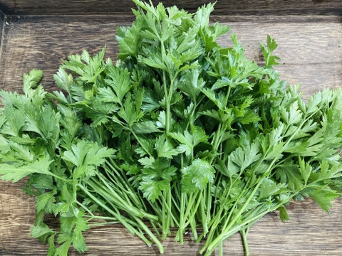 イタリアンパセリ100g