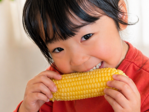 【予約販売｜5月末〜発送】朝採れ直送🌽甘さ爆発！HANA FARMのゴールドラッシュ ３kg