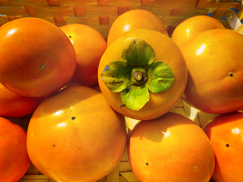【秋の味覚】さっぱりした甘さ！柿（総量約3kg、18～21個入）農薬・化学肥料不使用