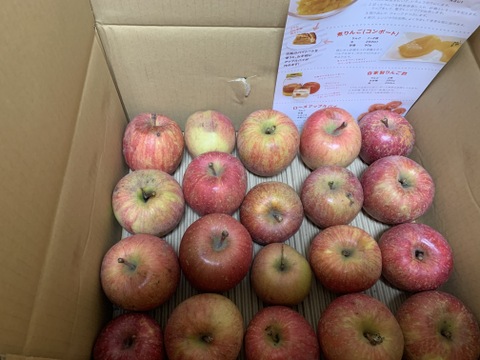 ジュース用・加工用りんご（冬りんご） お得にたっぷり使える！ 10kg