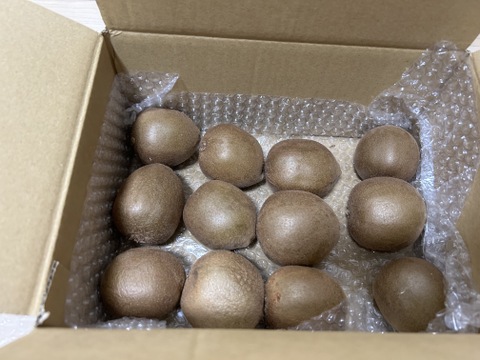 【新品種】国産ゴールドキウイ！『東京ゴールド』2キロ