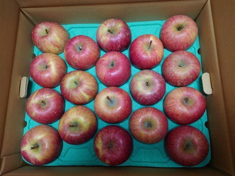 【王道サンふじ】　10㎏　26～40玉　本場青森りんご　農家直送　元気なりんご