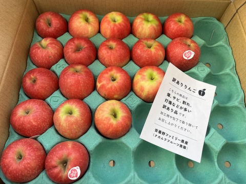 発送中🍎【ヒルナンデスでました！】ピンクレディー®︎ 5キロ訳あり品 加工用 長野県 信州 安曇野 リンゴ 幻 幻のリンゴ 予約 希少 旬 ID36611 ピンクレディー