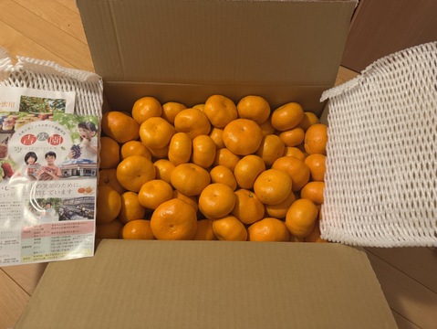 【ギフト可】果汁たっぷり！熊本晩生みかん『金峰（きんぽう）』10ｋｇ（1/30まで）