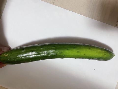 【加工向け奇形きゅうり】採れたてを発送！訳ありきゅうり（大きい曲がり、全体に傷、奇形ありきゅうり)5kg