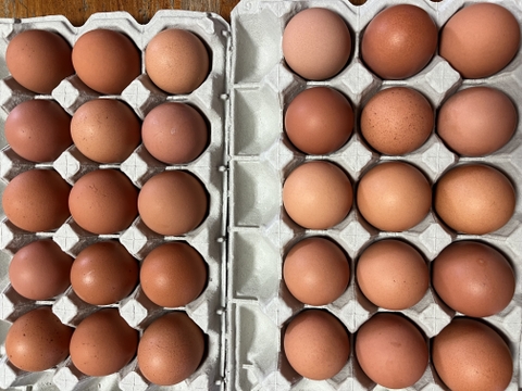 27個【鮮度抜群！！絶妙なコク＆うまさ！】　『体の内側からもっと美しく健康に！毎朝採れたて新鮮卵（ミネラルエッグ）』27個（※破卵保証3個入）
