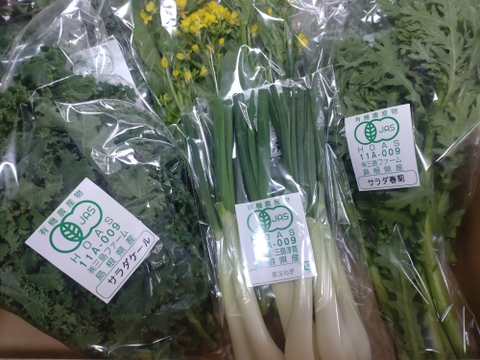 【リピーターの皆さまにオススメ！】選べる！有機野菜セット（6種）