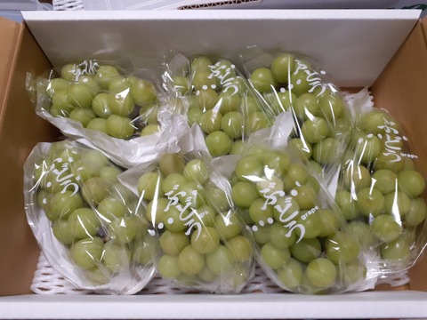 シャインマスカット家庭用訳有り品 家庭用、訳ありシャインマスカット3㎏（6～7房）：山梨県産の