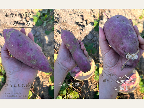 【訳あり・家庭用】紅はるか3kg｜毎日の料理にも、おやつにも｜おがくず梱包