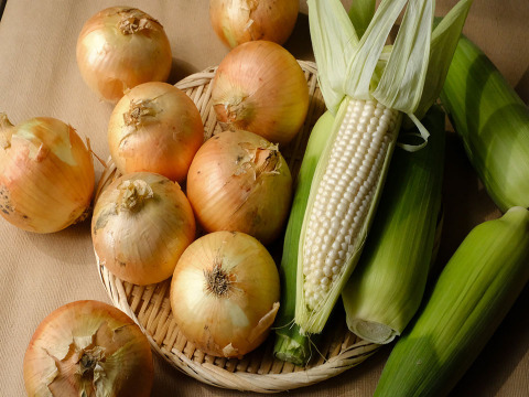 ★★初夏の甘うまセット★★（淡路島玉ねぎ5kg+ホワイトコーン10本） とうもろこし　トウモロコシ