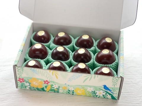 《皇室献上品産地のパッションフルーツご贈答用》奄美大島瀬戸内町産【夏ギフト】大玉12個入り／約1kg／希少な南国フルーツ高級ギフト／農園オリジナル化粧箱入り