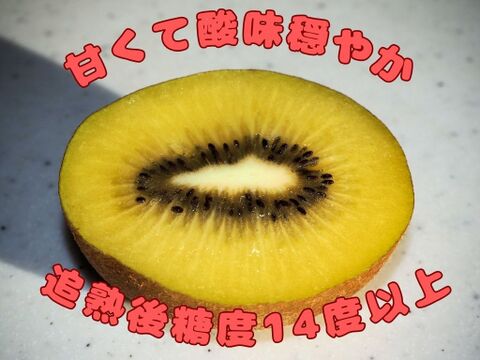 「アップルキウイ」甘い！黄色果肉種　1kg
