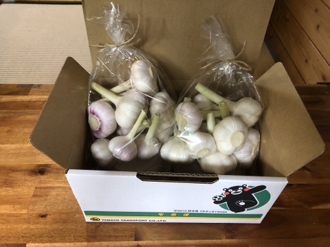 【新にんにく】１㎏ あま～いホクホク！有機、農薬不使用、阿蘇の水で育ちました。
