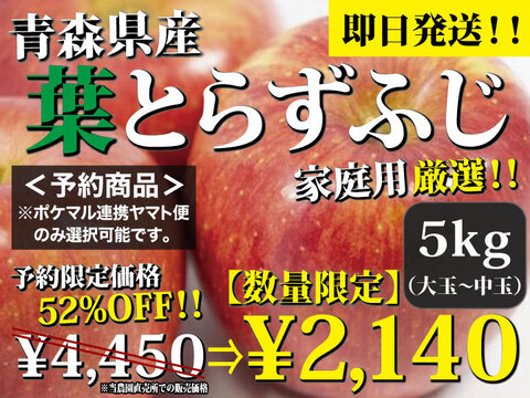 300円割引クーポン】５キロ 青森県産りんご 樹上完熟葉とらずふじ 訳