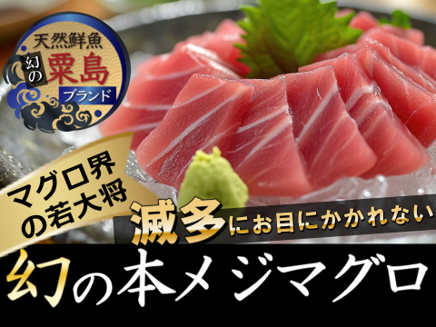 🐟黒いダイヤの若大将🐟ほぼ流通しない粟島ブランド天然国産本メジマグロ赤身刺身用カット🐟夏ギフト🐟