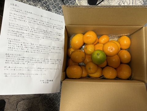 箱込約3㌔　1,000箱以上売れるゲリラセールミカン