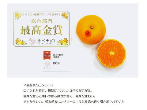 【２箱まとめ買い】🏆みかん柑橘グランプリ2026最高金賞含む最多４部門受賞の木熟せとか！大感動！樹上完熟させた濃厚な甘みの大トロ「木熟せとか」厳選プレミアム　約４．２ｋｇ２箱セット【403-2】