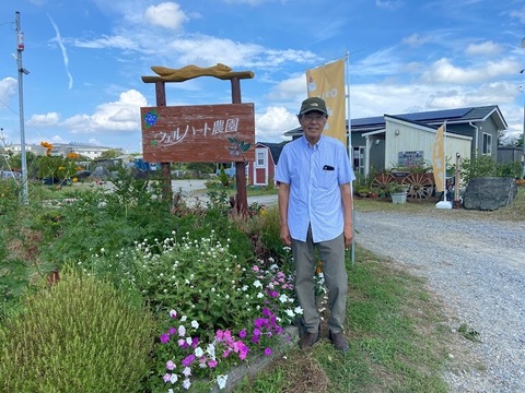 【皮ごと安心！】知多半島産　男爵＆アンデスじゃがいも1㎏