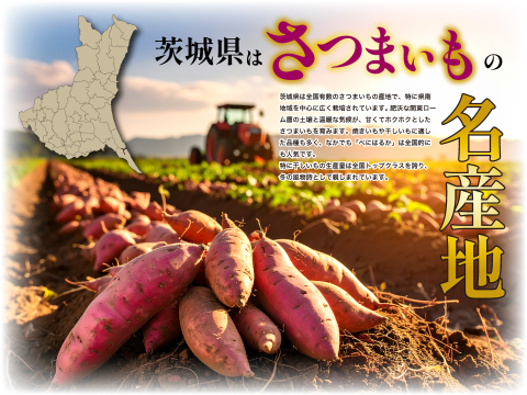 【旬の味】ほしいも／200g(平干し) 2袋 茨城県産 べにはるか使用 クリックポスト 送料無料 松田製茶 FOD-038