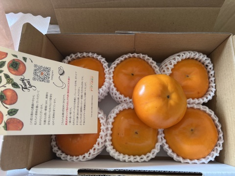 【送料500円引き🍂】極上果汁！　紀州てまり（柿）🟠✨小玉 サイズ混合(S〜M) お試し 6玉入【和歌山県産特別品種】