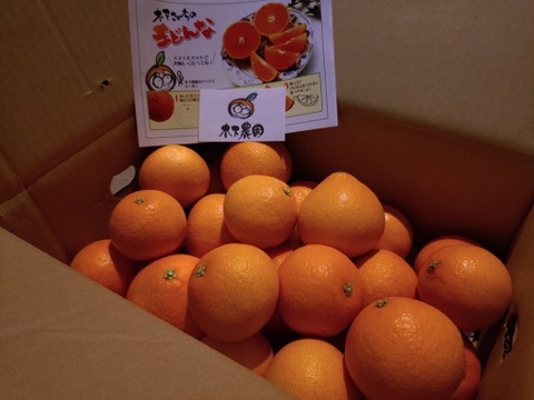 ☆農園1番人気☆まどんな　家庭用5キロ