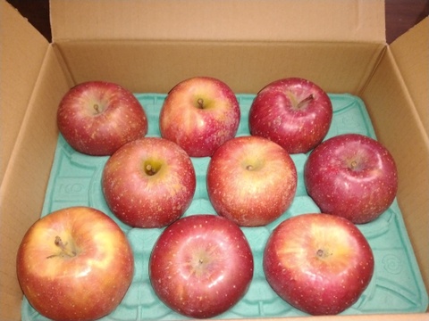 【夜市限定】感謝お礼セール‼️とことん味にこだわりました💪😊🍎青森県産葉取らず完熟ふじ3キロ。