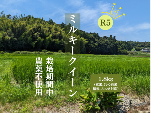 R5:ミルキークイーン玄米1.8kg（農薬不使用のお米）
