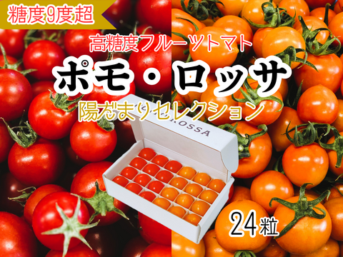 母の日ギフト｜ポモ・ロッサ　陽だまりセレクション｜赤とオレンジ、2種のフルーツトマト食べ比べギフト24粒入り