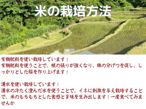 熊本 ひのひかり10kg 自社農園栽培米のみ使用