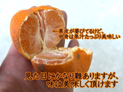 【３箱まとめ買い】めちゃ甘っ！でも見た目かなり難あり！味はピカイチ！ご家庭用！品種ミックス！生産者と消費者をマッチング！ダブル応援みかん　訳あり　サイズ混合　約2kg3箱セット【商品番号3001-3】