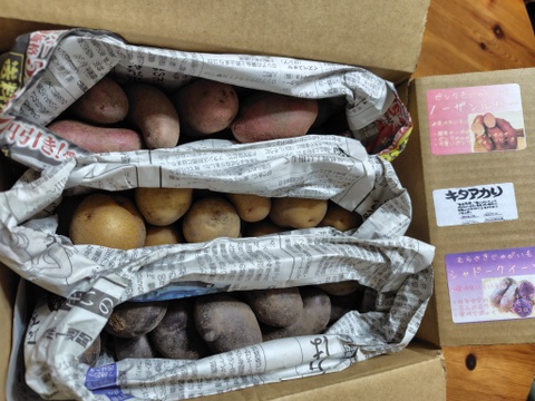 訳あり！カラフル！『ミニ』 じゃがいも ３種セット(合計1.8kg)規格外品