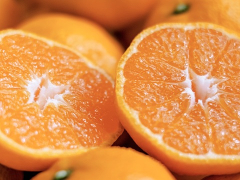 愛媛みかんの老舗厳選【小玉】『濃厚な旨みがギュッと凝縮』みかん 2.5kg 愛媛県川上産【冬ギフト】