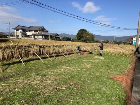 いつもの白米に＋サプリメント米「黒米(もち系)」1kg