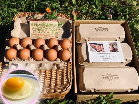 【ゲン担ぎ福袋】🧧【真】チキン勝と親子丼福袋
