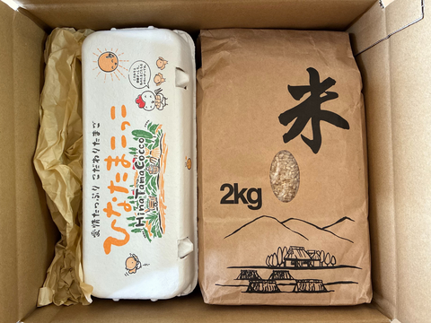 【お試し新発売！！】最高のたまごかけご飯の誕生♪♪「もみじたまごＭ10個」と【令和7年度新米】「サン・ファーム米（玄米2kg）」【通年常温便】★化学肥料及び農薬：栽培期間中不使用