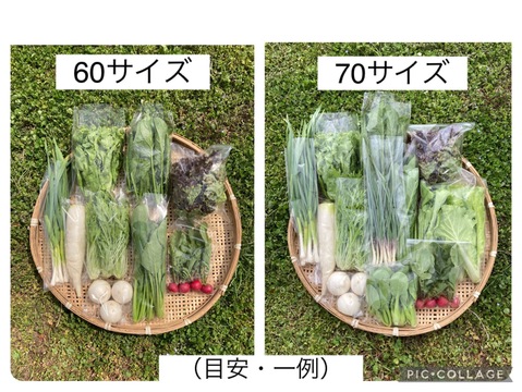 新鮮！旬の野菜セット【12〜14品目】農薬・化学肥料不使用　80サイズ／3〜4名様向き

【内容量：約4.5kg前後】