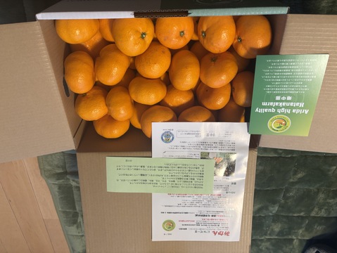 【5キロ箱満杯物価高応援セール！】 完熟高糖度　節減対象農薬　特別栽培で育てたからだにやさしい　有田みかん