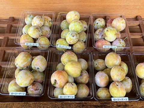 甘～いプラム ロージーゲージ (1kg)