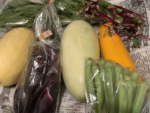 但馬の旬をお届け！採れたて野菜セットS【4〜5種類】(60サイズ)