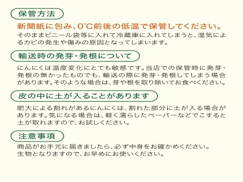 【新規出店記念セール！！】新物　白玉王🧄『あきたしらかみにんにく』訳ありSサイズ1kg