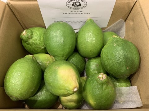 【皮が薄くて種がない】レモン 2kg【防腐剤・ワックス不使用】璃の香（家庭用) 国産レモン