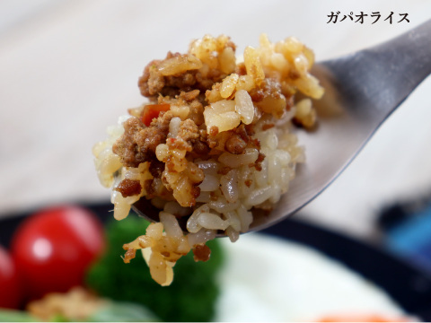 元気豚　ガパオライス&焼き豚ごはんセット