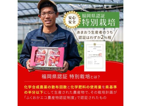 【いちごの王様！ あまおう苺 サイズ色々で270ｇ×6パック！【冬ギフト】