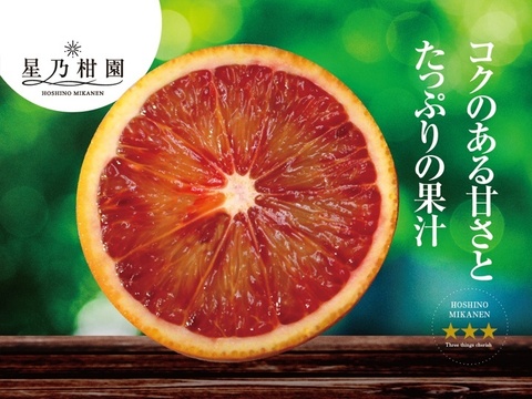 星乃ブラッドオレンジ 木成り完熟 愛媛産 4kg