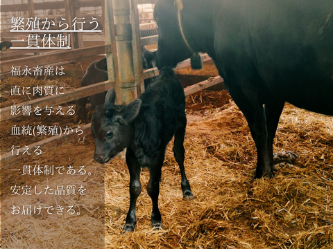 【母の日ギフト】【メッセージカード付き】【至福】抜群霜降！焼肉（２人前）［ 上カルビ 320g ］鹿児島県 黒毛和牛 牛肉 さつま福永牛 受賞歴多数［ お取り寄せ 贈り物 誕生日 プレゼント  ］