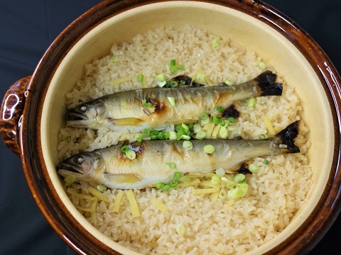 【生鮮】ワンランク上の鮎【信州あゆ２L】10尾