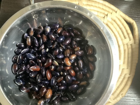 ＊規格外・B品＊◎自然栽培◎黒五葉（黒豆）1kg＜令和6年・山形県鶴岡産＞