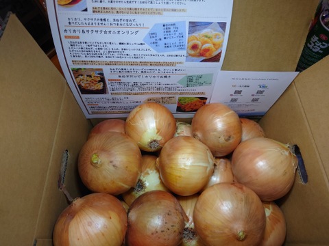 【玉ねぎの王様ターザン】 淡路島玉ねぎ「いくたま」（5kg）