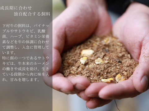 黒毛和牛『下村牛』すきしゃぶ用　あかみ　500g