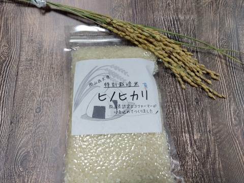 毎日の楽しみに🎶お米食べ比べセット(3品種精米各300ｇ)(にこまる、ヒノヒカリ、さとのつき)令和4年産
